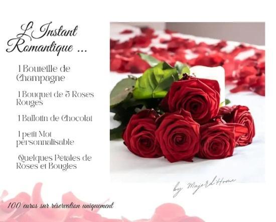 Majord'Home Spa 4*-L'Elegance-Balneo Vieille Ville 阿讷西 外观 照片